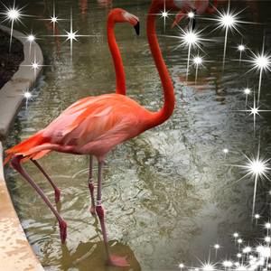 Meet your Posher, Devin